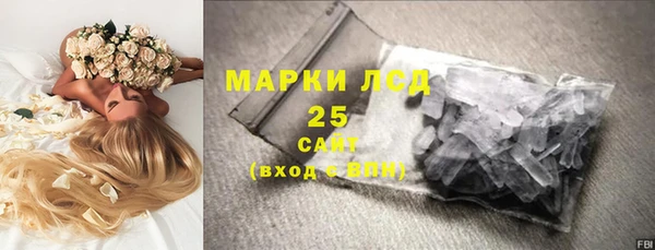 гашик Володарск