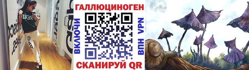Галлюциногенные грибы мицелий  Иннополис 
